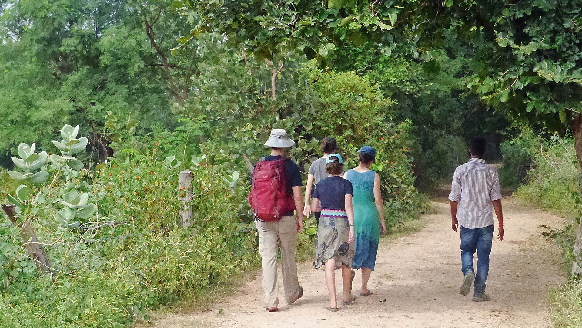 Guests walking along path